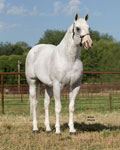 T_Silver-front.jpg